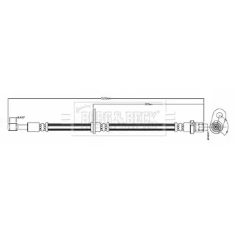 Flexible de frein BORG & BECK BBH8206