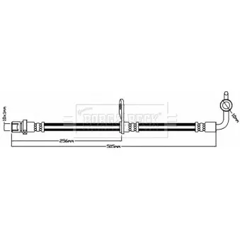 Flexible de frein BORG & BECK BBH8244