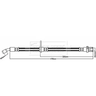 Flexible de frein BORG & BECK BBH8250