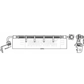 Flexible de frein BORG & BECK BBH8274