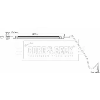 Flexible de frein BORG & BECK BBH8351