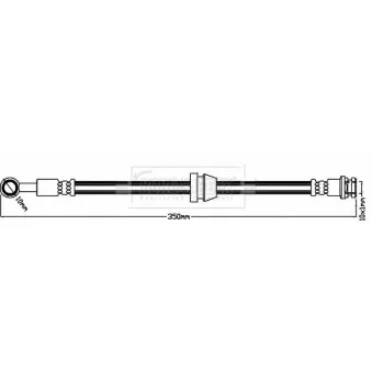 Flexible de frein BORG & BECK BBH8385