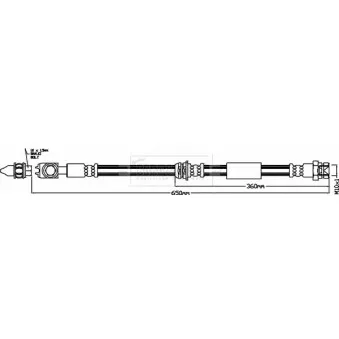 Flexible de frein BORG & BECK BBH8419
