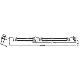 Flexible de frein BORG & BECK BBH8422