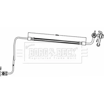 Flexible de frein BORG & BECK BBH8494