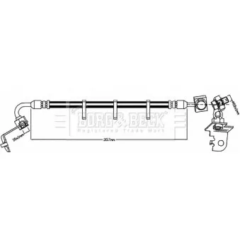 Flexible de frein BORG & BECK BBH8564