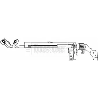 Flexible de frein BORG & BECK BBH8619