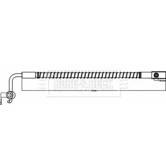 Flexible de frein BORG & BECK BBH8666