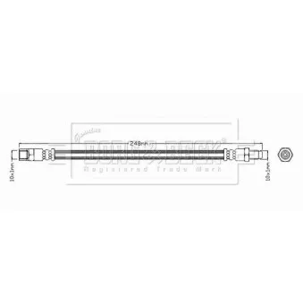 Flexible de frein BORG & BECK BBH8696