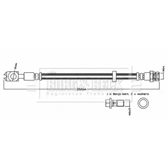 Flexible de frein BORG & BECK BBH8732