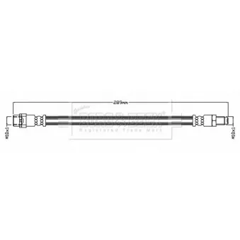 Flexible de frein BORG & BECK BBH8748