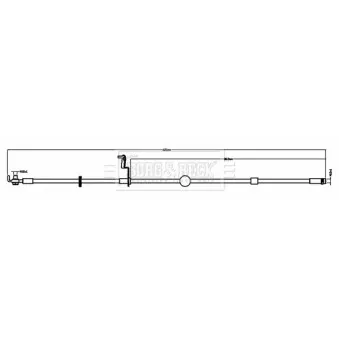Flexible de frein BORG & BECK BBH8800