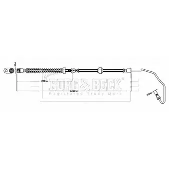 Flexible de frein BORG & BECK BBH8803