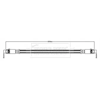 Flexible de frein BORG & BECK BBH8821