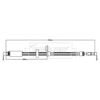 Flexible de frein BORG & BECK BBH8822