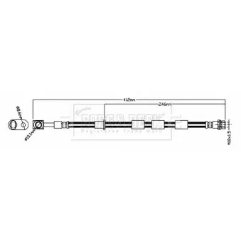 Flexible de frein BORG & BECK BBH8824