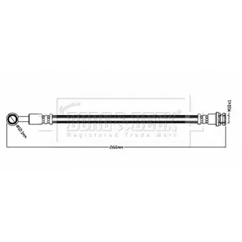 Flexible de frein BORG & BECK BBH8846