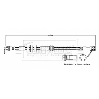 Flexible de frein BORG & BECK BBH8864