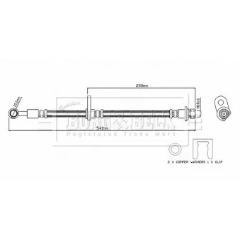 Flexible de frein BORG & BECK BBH8868