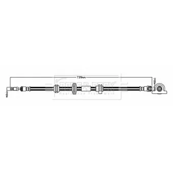 Flexible de frein BORG & BECK BBH8894