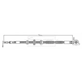 Flexible de frein BORG & BECK BBH8895