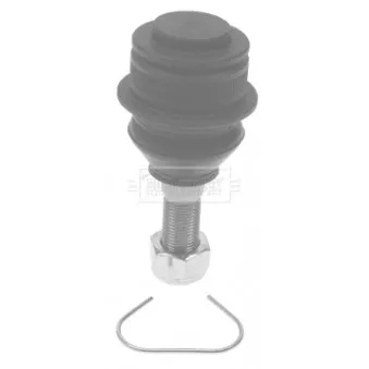 Rotule de suspension BORG & BECK BBJ5281