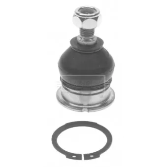 Rotule de suspension BORG & BECK BBJ5301