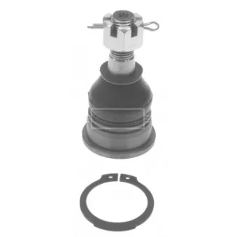 Rotule de suspension BORG & BECK BBJ5303