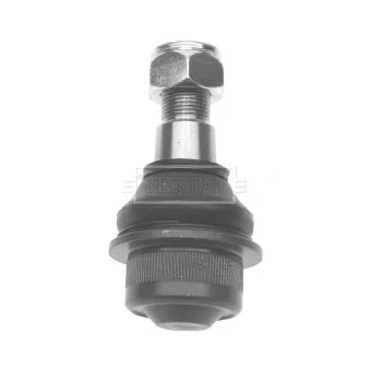 Rotule de suspension BORG & BECK BBJ5379