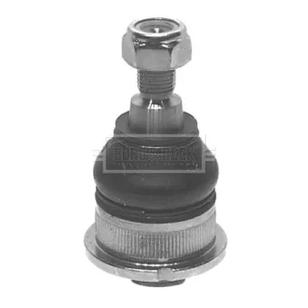 Rotule de suspension BORG & BECK BBJ5388