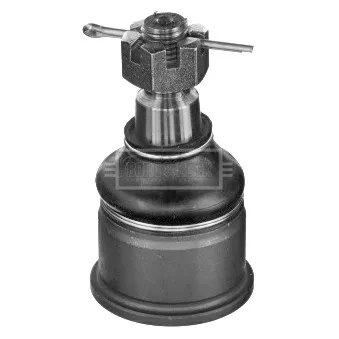 Rotule de suspension BORG & BECK BBJ5501