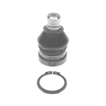 Rotule de suspension BORG & BECK BBJ5534