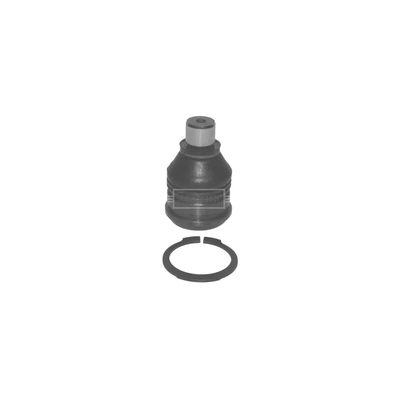 Rotule de suspension BORG & BECK BBJ5566