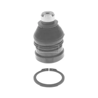 Rotule de suspension BORG & BECK BBJ5585