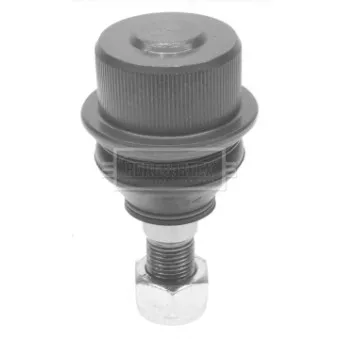 Rotule de suspension BORG & BECK BBJ5591
