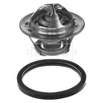 Thermostat d'eau BORG & BECK BBT005