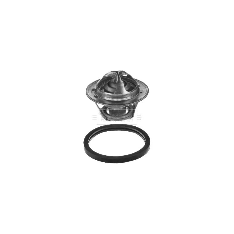 Thermostat d'eau BORG & BECK BBT005