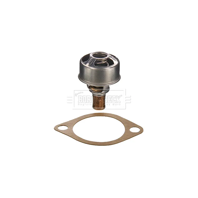 Thermostat d'eau BORG & BECK BBT007