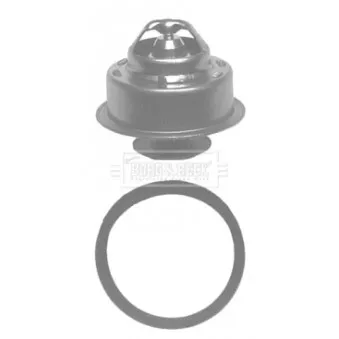 Thermostat d'eau BORG & BECK BBT009