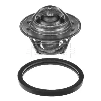 Thermostat d'eau BORG & BECK BBT011