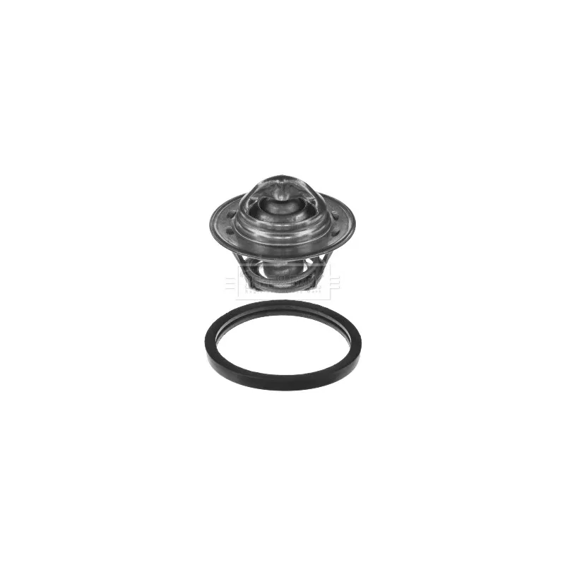 Thermostat d'eau BORG & BECK BBT011