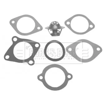 Thermostat d'eau BORG & BECK BBT013