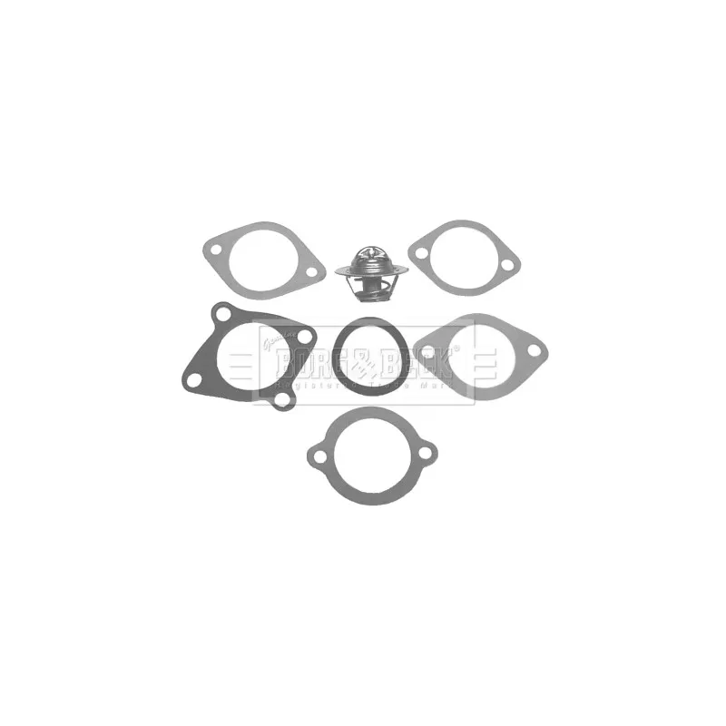 Thermostat d'eau BORG & BECK BBT013