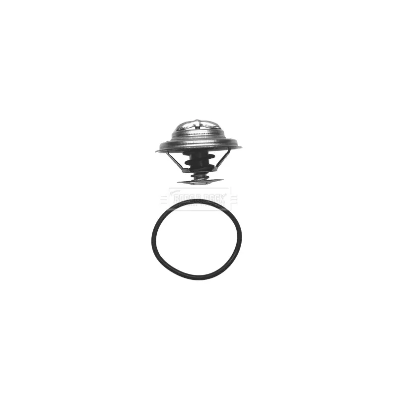 Thermostat d'eau BORG & BECK BBT014