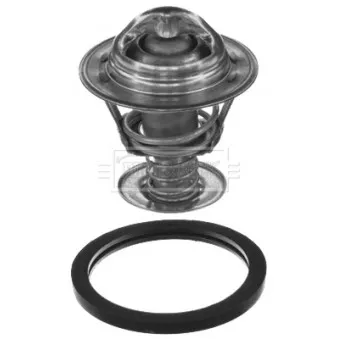 Thermostat d'eau BORG & BECK BBT017