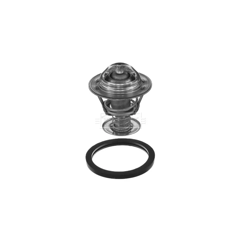 Thermostat d'eau BORG & BECK BBT017
