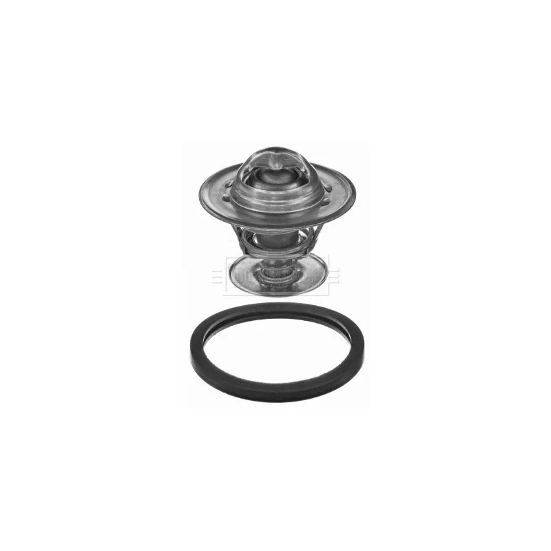 Thermostat d'eau BORG & BECK BBT018