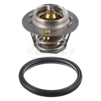 Thermostat d'eau BORG & BECK BBT020