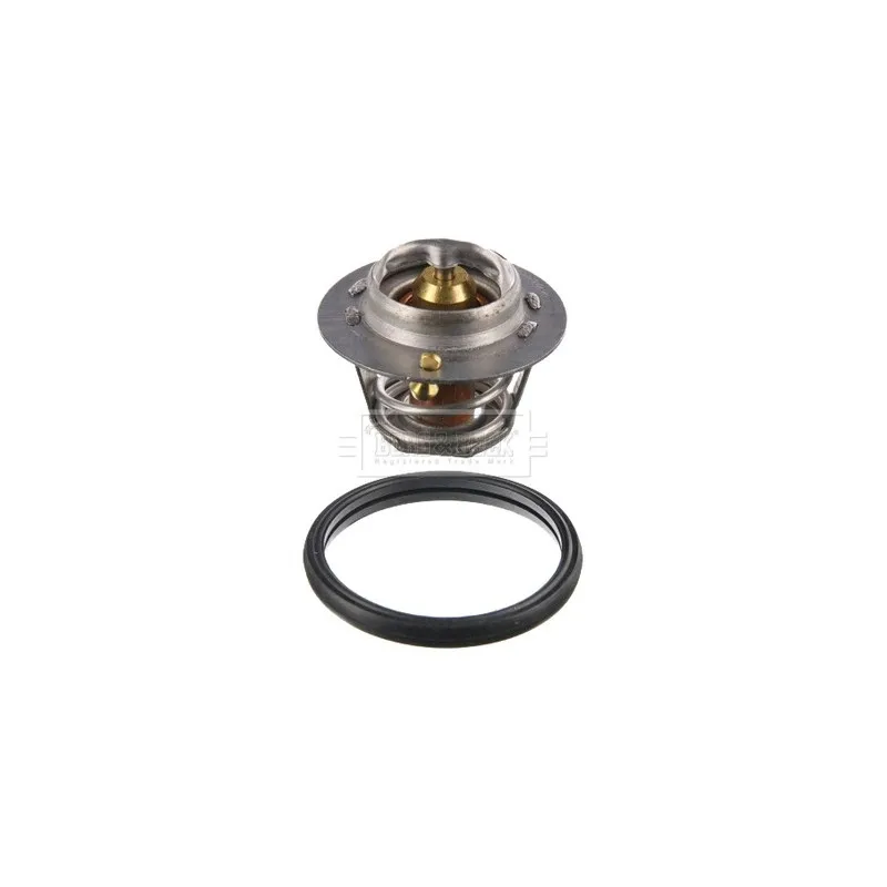 Thermostat d'eau BORG & BECK BBT020