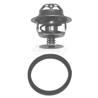 Thermostat d'eau BORG & BECK BBT021